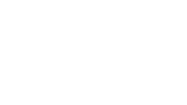 bkash logo